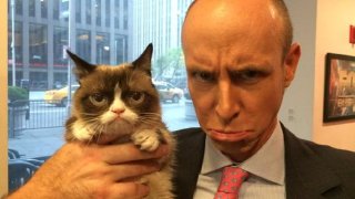 котки, brexit, даниел ханан