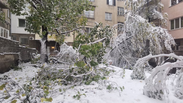 До 35 см сняг в София - спрял ток и промени в градския транспорт (снимки)