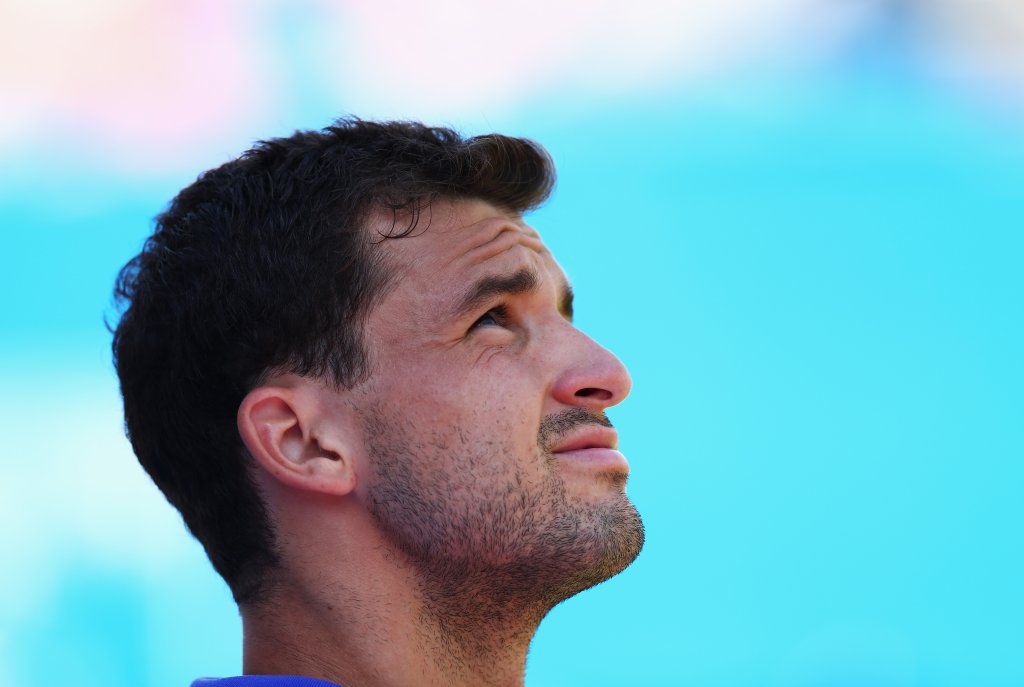 григор димитров