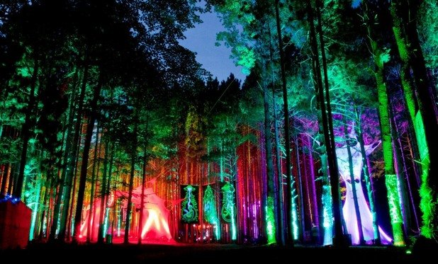 Фестивалът на електронната музика (Electric Forest Music Festival) се провежда в горите на Ротбъри, Мичиган