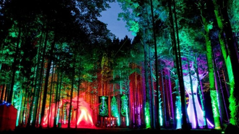 Фестивалът на електронната музика (Electric Forest Music Festival) се провежда в горите на Ротбъри, Мичиган