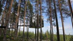 В гората и сред природата - едни от най-необичайните хотели