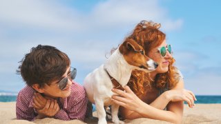 Happy mother with her son and their dog breed Jack Russell lie on the sand on a large beach by the sea and look at the sun in the summer. Family vacation on summer vacation. Home pet