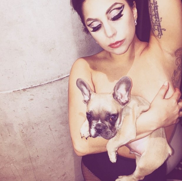 Лейди Гага използва кучето си не по предназначение