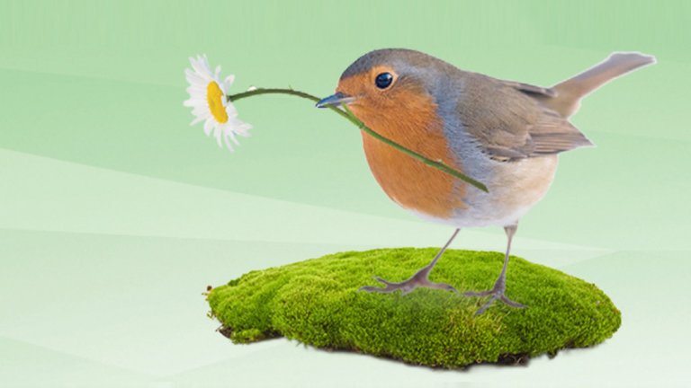 Освен че е произведен в Швейцария, той е с Европейски сертификат за биологично производство и Швейцарски сертификат за биологично производство.