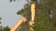Мъжът, който загина в сряда затиснат от паднало дърво, е разтоварвал камион в частен имот по време на инцидента. 