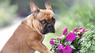 Или поне най-често регистрираните в САЩ