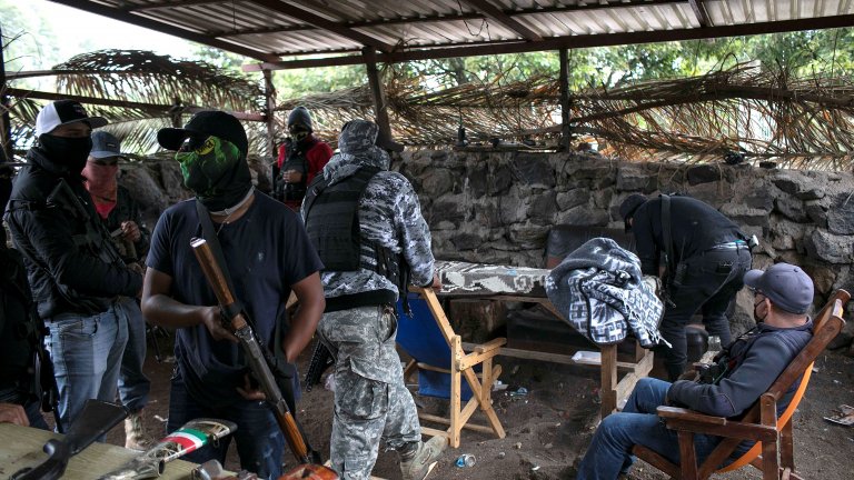 "Зеленото злато" - така местните наричат вече вкусните плодове заради високата им цена. Но това привлича и много внимание от неподходящ тип