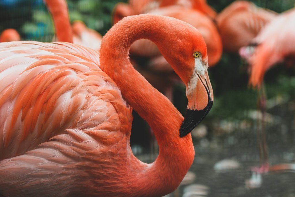 gislane-dijkstra-6PzwNtSIaFA-unsplash