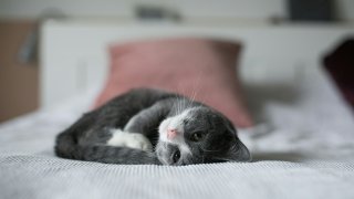 nine-koepfer-lpgAlv8I7V8-unsplash