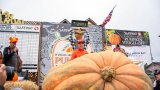 massive-award-winning-pumpkin-l