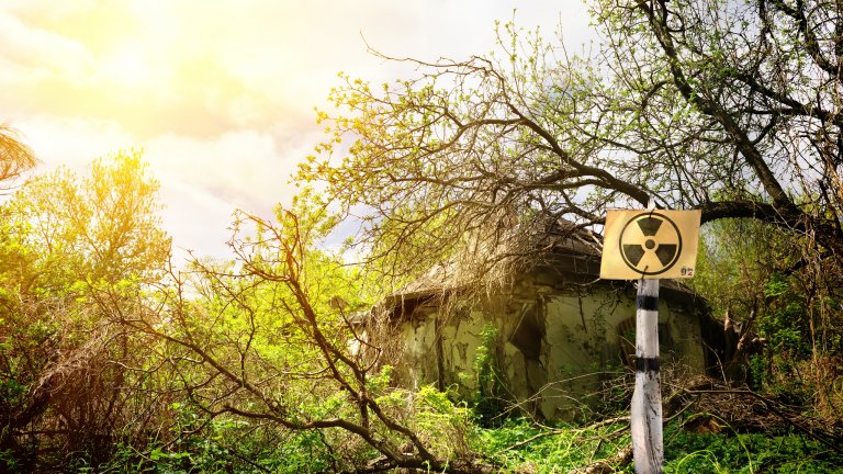 Червената гора обича да припомня, че не обича натрапници