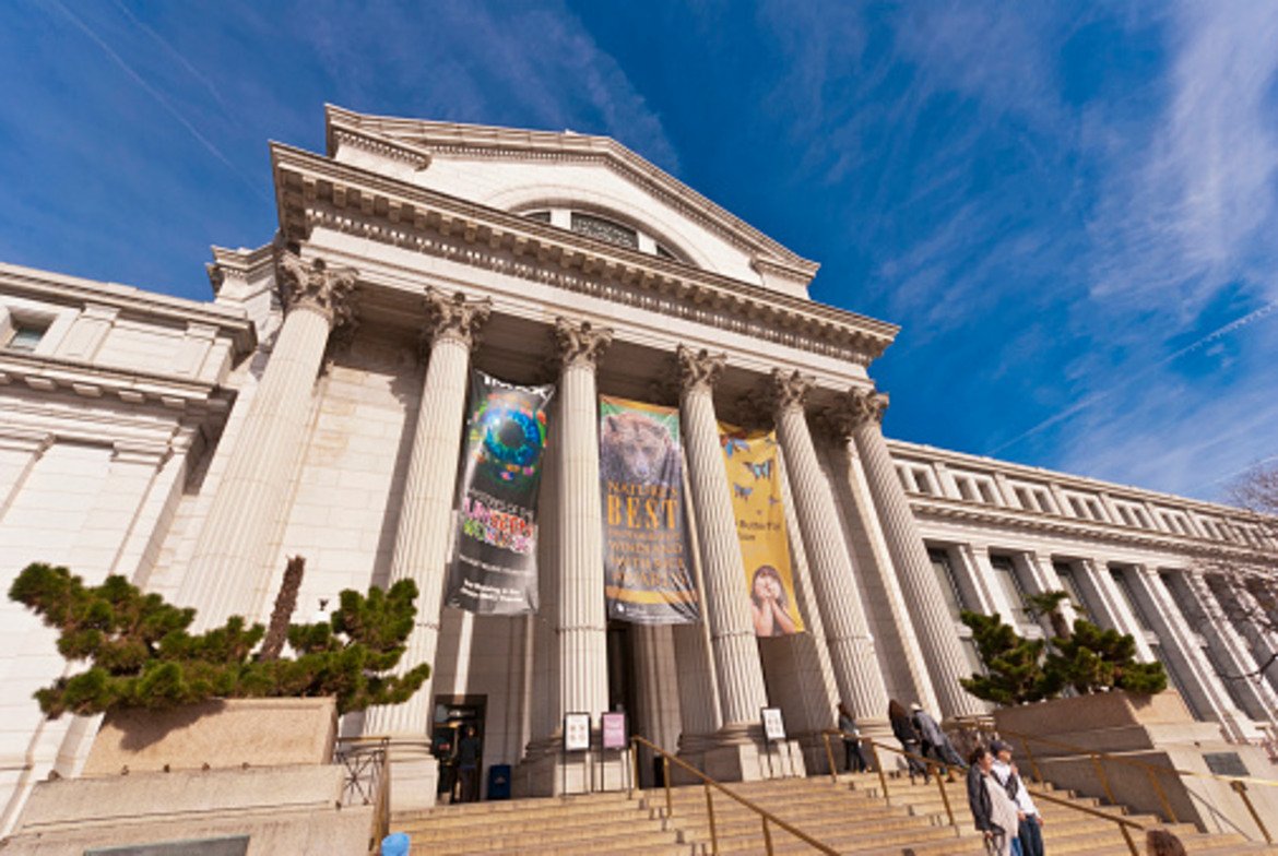 17. Национален музей на американската история, Вашингтон, САЩ