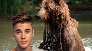 bieber