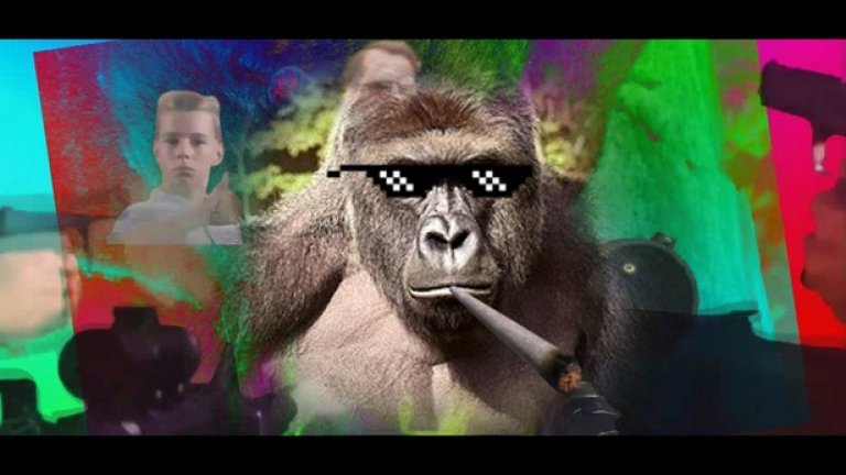 Духът на Харамбе броди из интернет