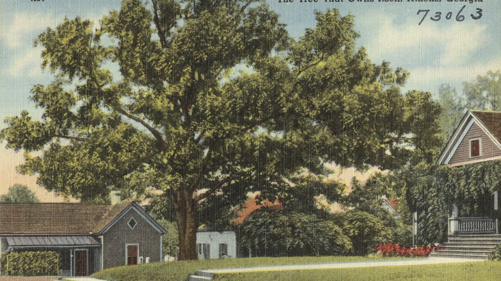 The_tree_that_owns_itself,_Athens,_Georgia_(8342838973)
