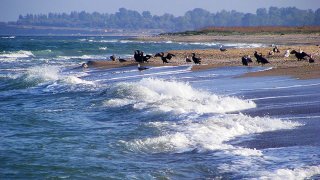дуранкулак