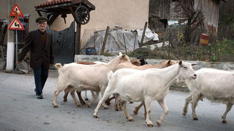 Малки бягства