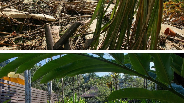 В Шри Ланка загинаха 1700 души