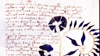 От загадъчните символи до необичайните илюстрации - историята на най-странния ръкопис в света