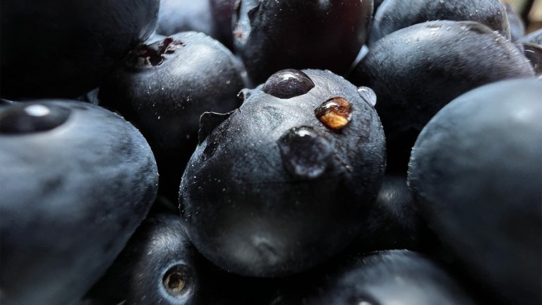 Пример за макро снимане с iPhone 13 Pro и Pro Max.