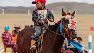 Young_Mongolian_Naadam_Horse_Racer_-_2010
