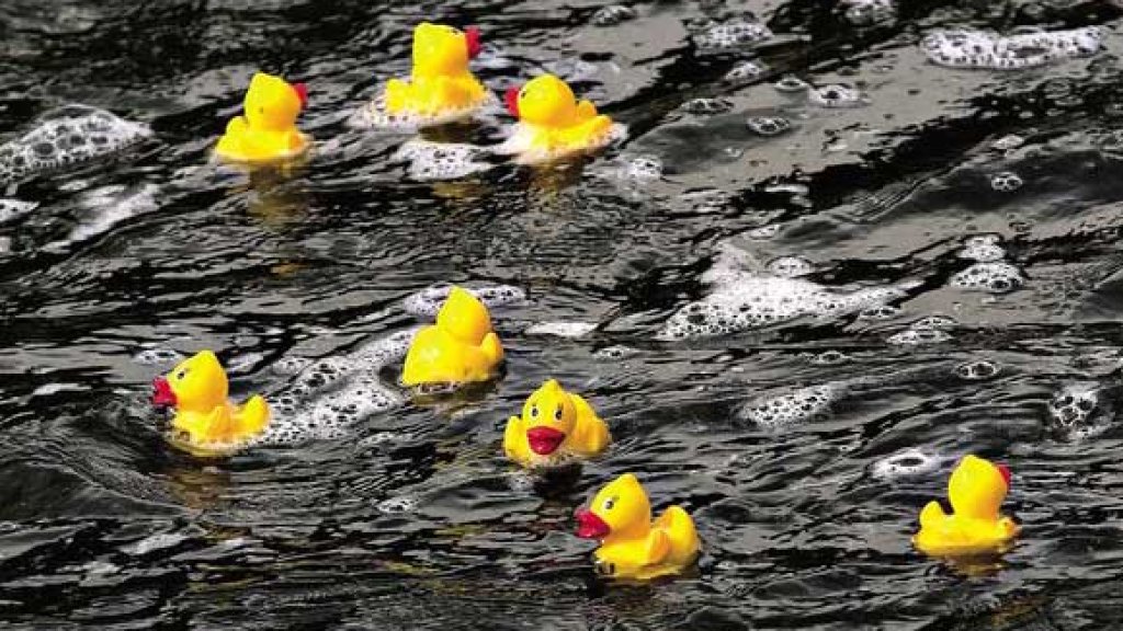 yampa_river_rubber_ducky_race