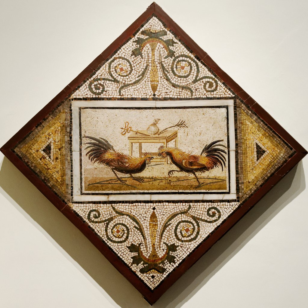 Cockfight_Santangelo_MAN_Napoli