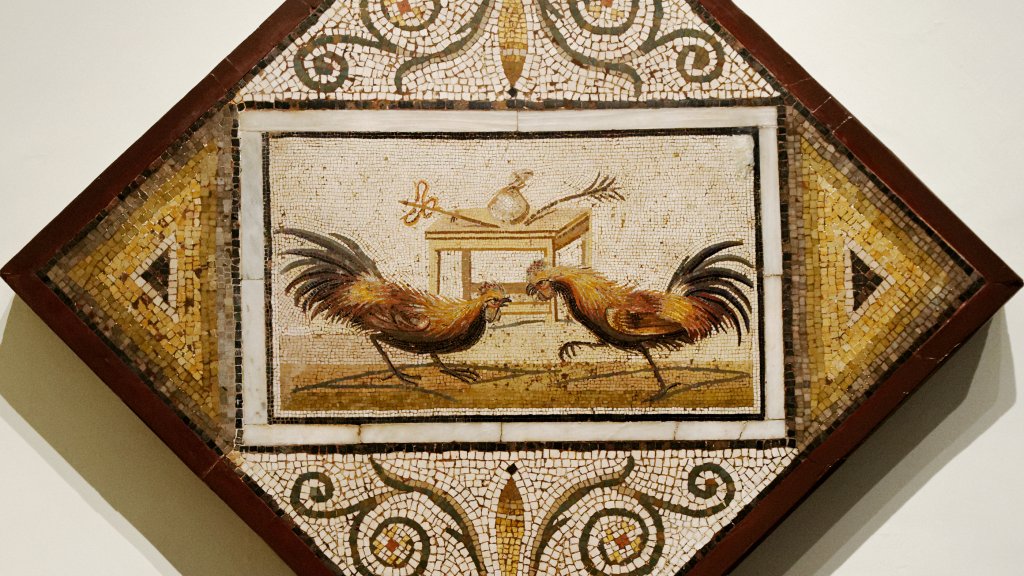 Cockfight_Santangelo_MAN_Napoli