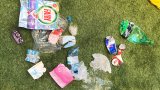 Новата изложба "Гранични цветя" на Иван Мудов повдига въпроса