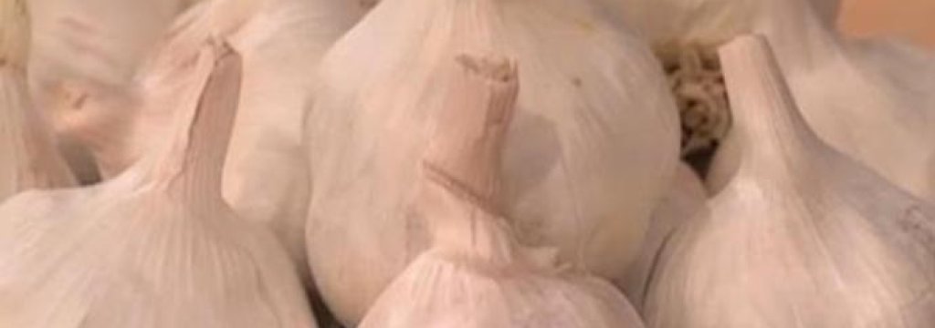 garlic