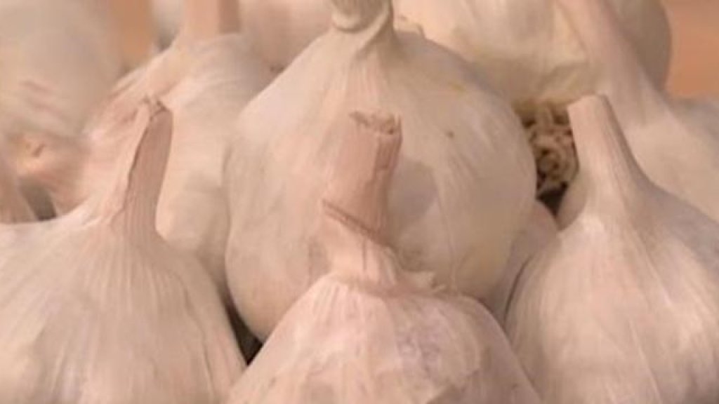 garlic