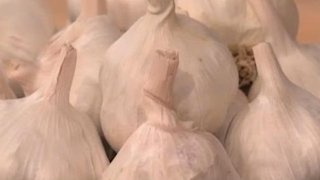 garlic