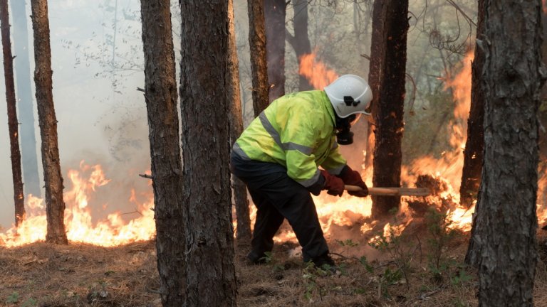 Петте дни на пожара в Кресненското дефиле