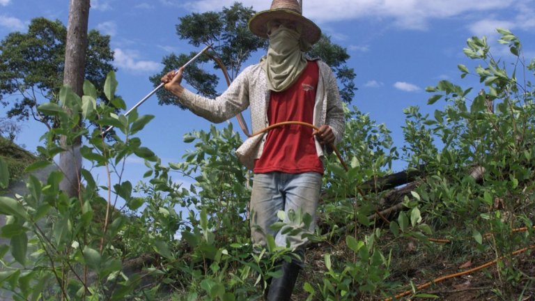 Миннодобивни фирми, фермери на кока и престъпни банди водят до социална дегенерация, замърсяване и крайни степени на насилие в една област в западна Колумбия.