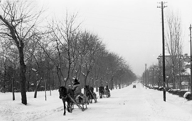 Конски шейни на Цариградско шосе, София зимата на 1942 г. Източник: "Изгубената България"