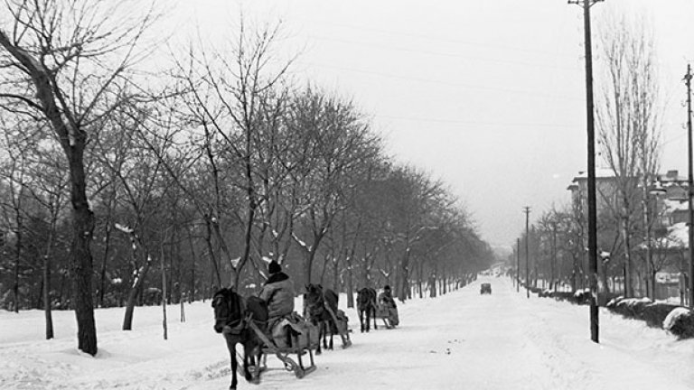 Конски шейни на Цариградско шосе, София зимата на 1942 г. Източник: "Изгубената България"