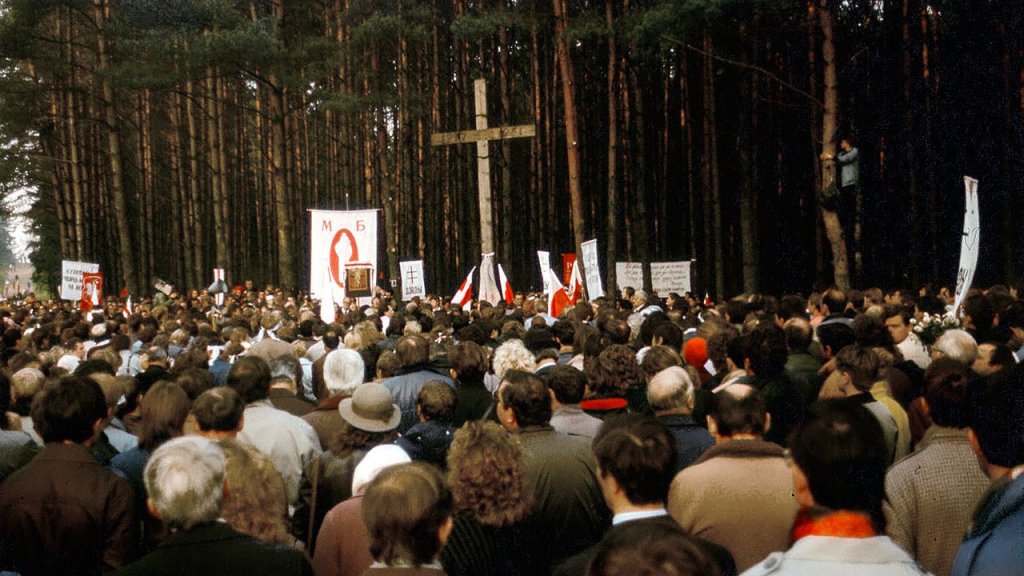 image-51