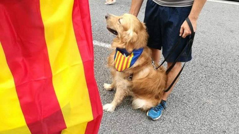 Каталония отново излезе на протест за независимост (снимки)