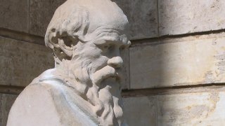 1280px-UWASocrates_gobeirne_cropped