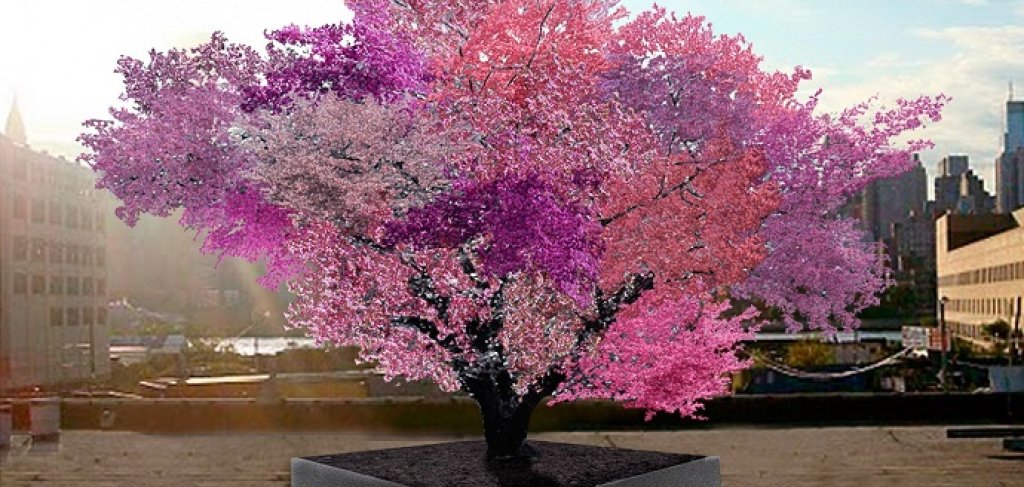 tree