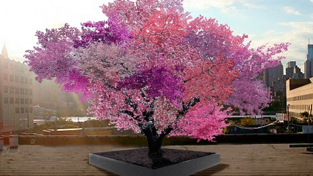 tree