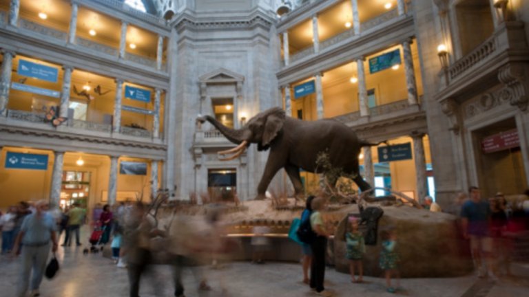 4. Национален музей по естествена история, Вашингтон, САЩ