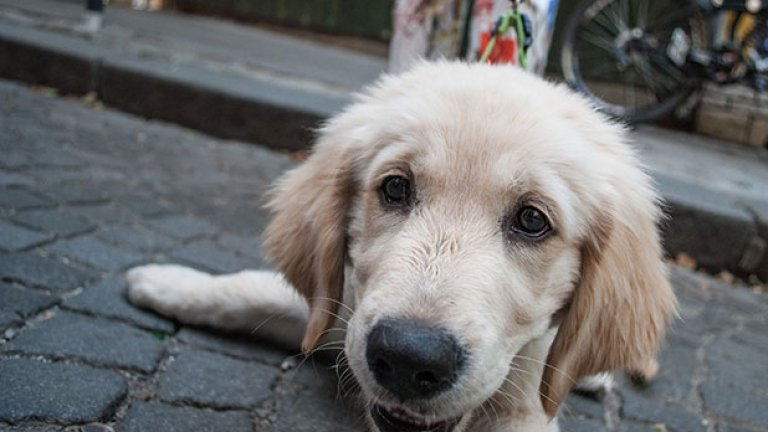 Културно по "Ангел Кънчев"