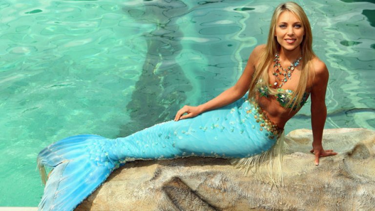 Цялото общество е "кифла-русалка"