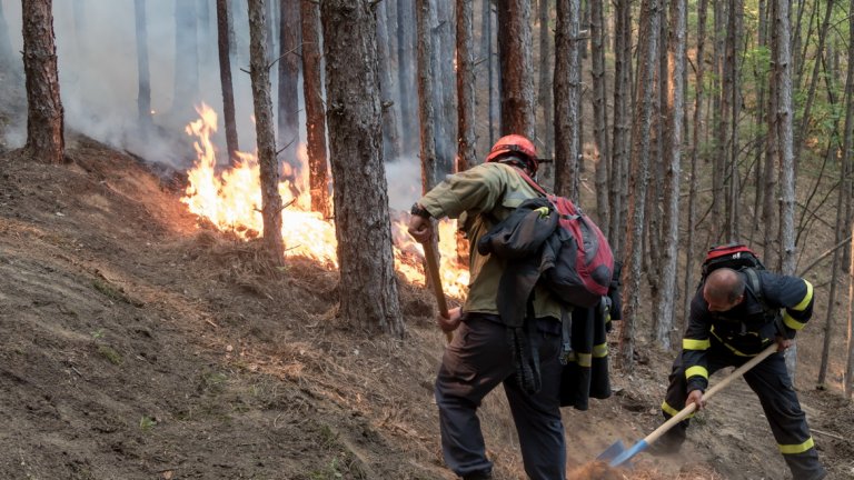 Петте дни на пожара в Кресненското дефиле