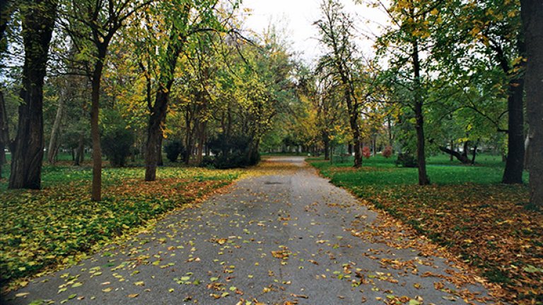 Следващата седмица температурите ще паднат под нулата