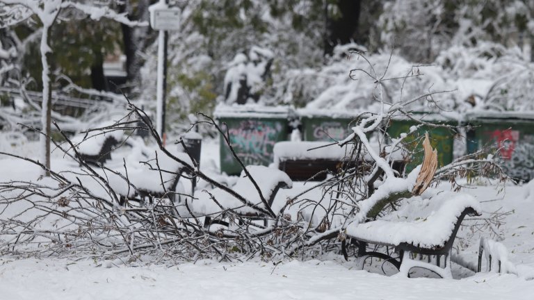 До 35 см сняг в София - спрял ток и промени в градския транспорт (снимки)
