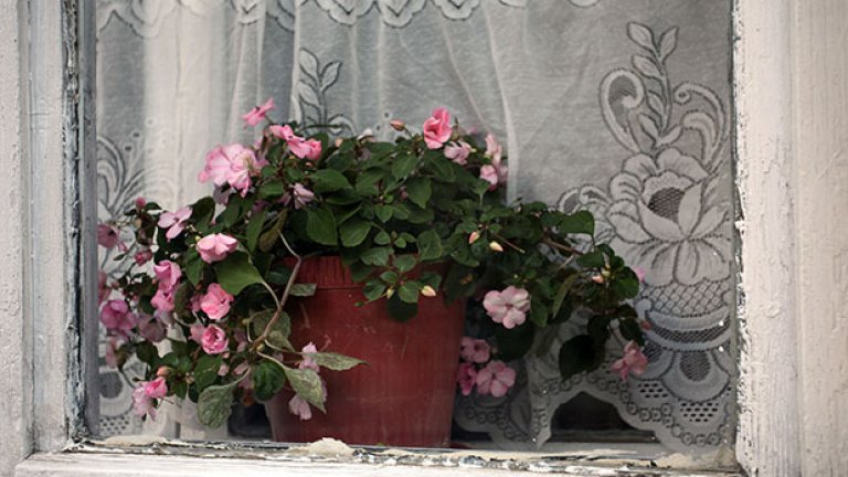 Малки бягства