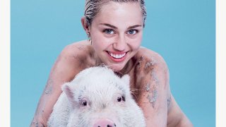 Майли Сайръс – PAPER